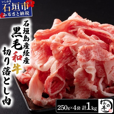 <わんの牛>石垣島産経産黒毛和牛 切り落とし 250g×4袋 合計1kg NA-02