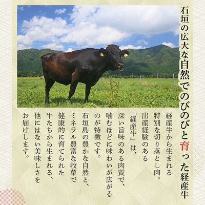 <わんの牛>石垣島産経産黒毛和牛 切り落とし 250g×4袋 合計1kg NA-02