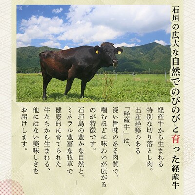 <わんの牛>石垣島産経産黒毛和牛 切り落とし 250g×4袋 合計1kg NA-02