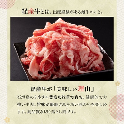 <わんの牛>石垣島産経産黒毛和牛 切り落とし 250g×4袋 合計1kg NA-02