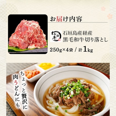 <わんの牛>石垣島産経産黒毛和牛 切り落とし 250g×4袋 合計1kg NA-02