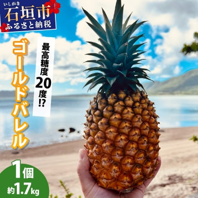 【2026年5月下旬より順次発送】最高糖度20度⁉石垣島産完熟ゴールドバレル 1玉 約1.7kg