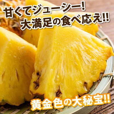 【2026年5月下旬より順次発送】最高糖度20度⁉石垣島産完熟ゴールドバレル 1玉 約1.7kg