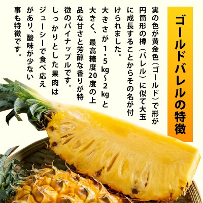 【2026年5月下旬より順次発送】最高糖度20度⁉石垣島産完熟ゴールドバレル 1玉 約1.7kg