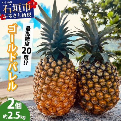 最高糖度20度!? 石垣島産完熟ゴールドバレル 2玉 約2.5kg