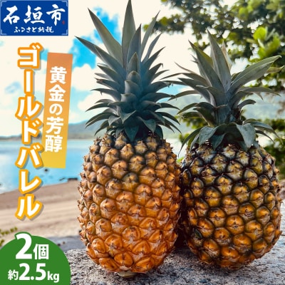 【先行予約】黄金の芳醇 ゴールドバレル 2玉 約2.5kg <2027年7月以降順次発送>