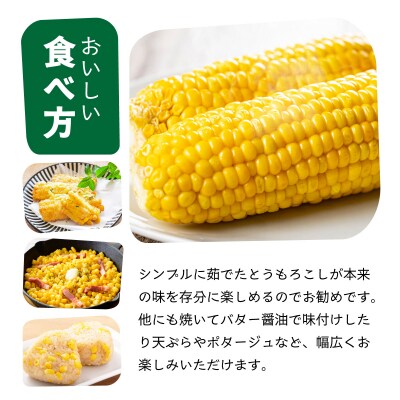 【先行予約2027年1月-5月配送】プレミアムヤングコーンとスイートコーンのよくばり定期便!!