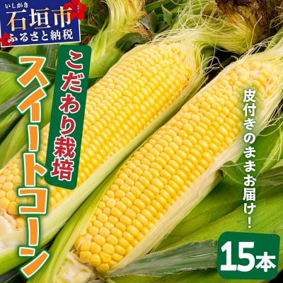 1番遅くて1番早い⁉ 朝採れプレミアムスイートコーンを皮付きのまま15本お届け!!