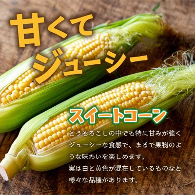 【先行予約2027年1月-5月配送】朝採れプレミアムスイートコーンを皮付きのまま15本お届け!!