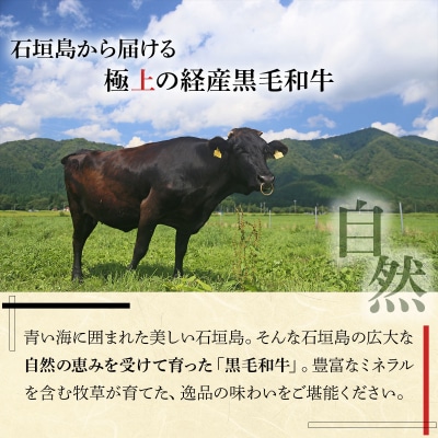 石垣島産経産黒毛和牛 焼肉セット【真空パック】 計 500g