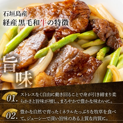 石垣島産経産黒毛和牛 焼肉セット【真空パック】 計 500g