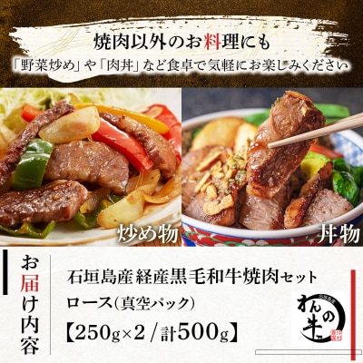 石垣島産経産黒毛和牛 焼肉セット【真空パック】 計 500g