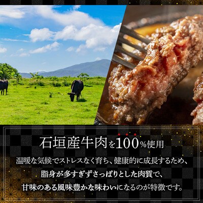 【2025年12月発送】石垣産経産牛ハンバーグ150g×6/箱
