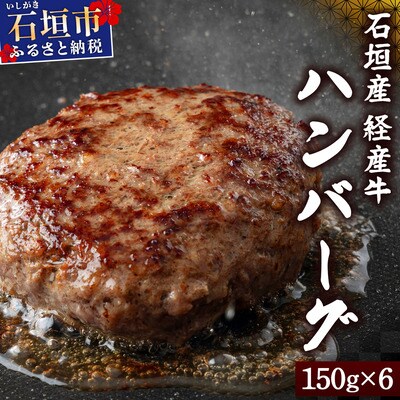 【2026年1月発送】石垣産経産牛ハンバーグ150g×6/箱