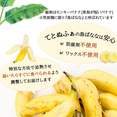 石垣島産 プレミアム島ばなな1房丸ごと約1kg(約8-12本)