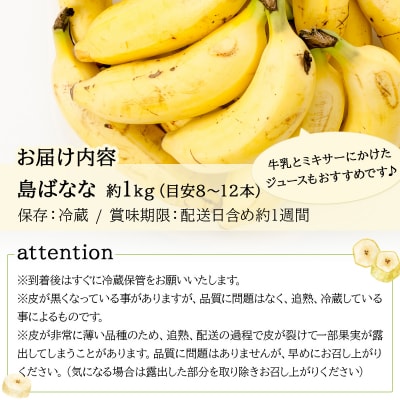 【2026年5〜10月順次発送】石垣島産 プレミアム島ばなな1房丸ごと約1kg(約8-12本)
