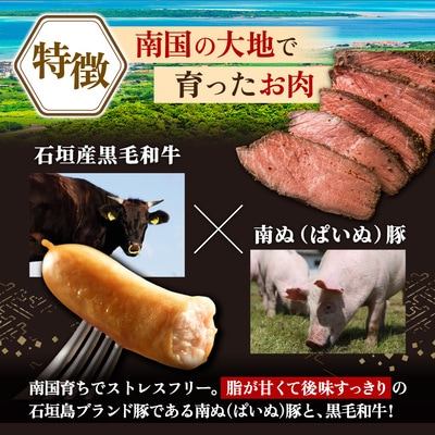 石垣島産 肉玉手箱 YC-07