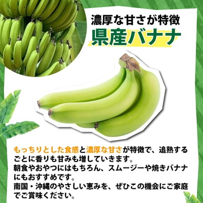 <わんのバナナ>石垣島産バナナ【沖縄県産バナナ】約3kg NA-06