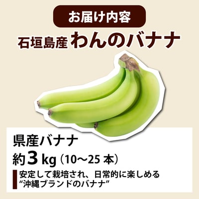 <わんのバナナ>石垣島産バナナ【沖縄県産バナナ】約3kg NA-06