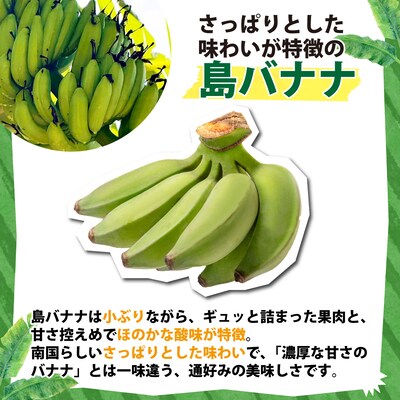 <わんのバナナ>石垣島産バナナ【島バナナ】 合計約1.5kg NA-07