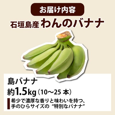 <わんのバナナ>石垣島産バナナ【島バナナ】 合計約1.5kg NA-07