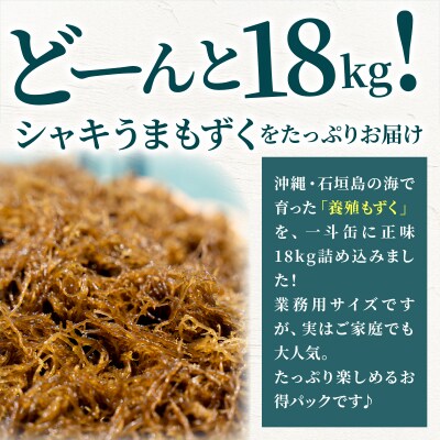 石垣島産・塩もずく(業務用一斗缶・18kg)