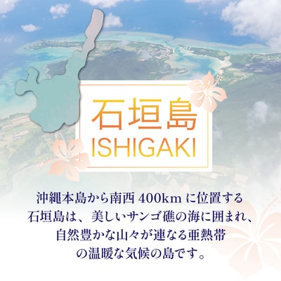 石垣パッケージ旅行補助券(30,000円分) OTI-01