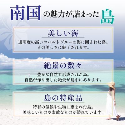 石垣パッケージ旅行補助券(30,000円分) OTI-01