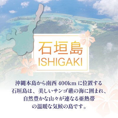 石垣パッケージ旅行補助券(150,000円分) OTI-03