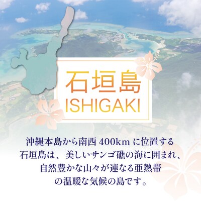 石垣パッケージ旅行補助券(300,000円分) OTI-04