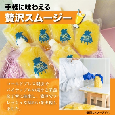 石垣島産パイナップル新食感贅沢スムージーギフト【3個セット】PU-03