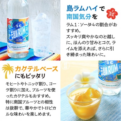 石垣島ラム40度700ml AK-50