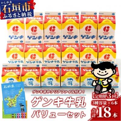 【ふるさと納税限定】【定期便_3回】ゲンキ牛乳バリューセット【八重山ゲンキ乳業】 GN-3_3t