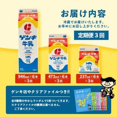 【ふるさと納税限定】【定期便_3回】ゲンキ牛乳バリューセット【八重山ゲンキ乳業】 GN-3_3t