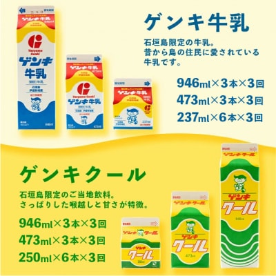 【ふるさと納税限定】【定期便_3回】八重山ゲンキ乳業 全種バリューセット GN-4_3t