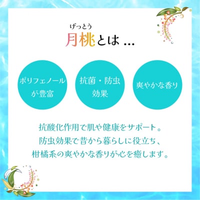 幸-美彩-さちちゅらいろ 月桃バーム(10g)