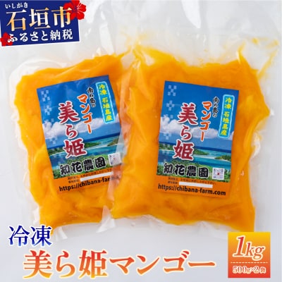 冷凍美ら姫マンゴー 1kg(500g×2袋)