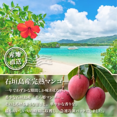 冷凍美ら姫マンゴー 1kg(500g×2袋)