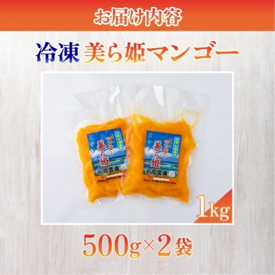 冷凍美ら姫マンゴー 1kg(500g×2袋)