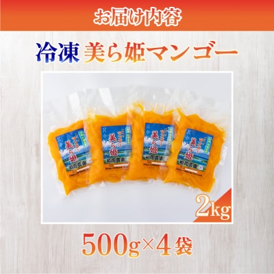 冷凍美ら姫マンゴー 2kg(500g×4袋)
