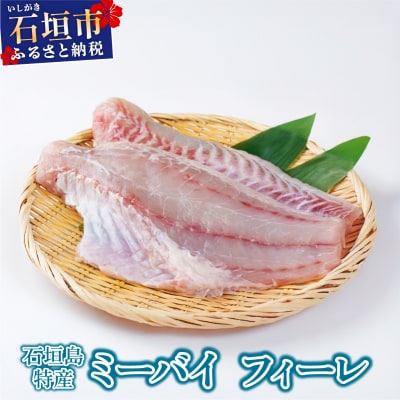 石垣島特産ミーバイ(ヤイトハタ)フィーレ 