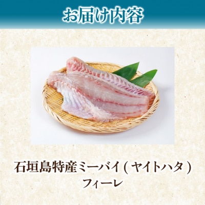 石垣島特産ミーバイ(ヤイトハタ)フィーレ 