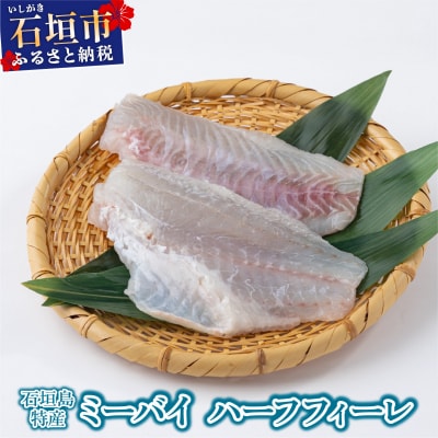 石垣島特産ミーバイ(ヤイトハタ)ハーフフィーレ 