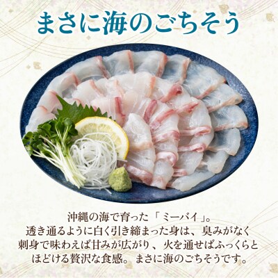 石垣島特産ミーバイ(ヤイトハタ)ハーフフィーレ 