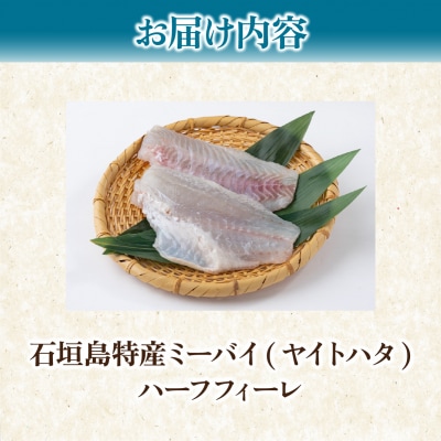 石垣島特産ミーバイ(ヤイトハタ)ハーフフィーレ 