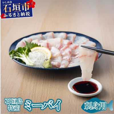 石垣島特産ミーバイ(ヤイトハタ)販売記念お試しお刺身用