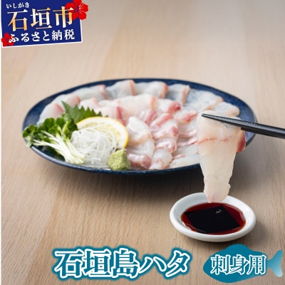 石垣島 ハタ 販売記念お試しお刺身用 | ミーバイ ヤイトハタ