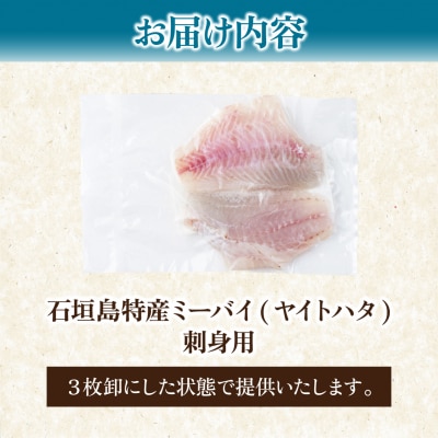 石垣島特産ミーバイ(ヤイトハタ)販売記念お試しお刺身用