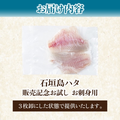 石垣島 ハタ 販売記念お試しお刺身用 | ミーバイ ヤイトハタ