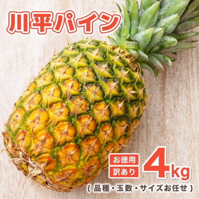 【2026年7月以降順次発送】川平パイン お徳用訳あり4kg ( 品種・玉数・サイズお任せ )